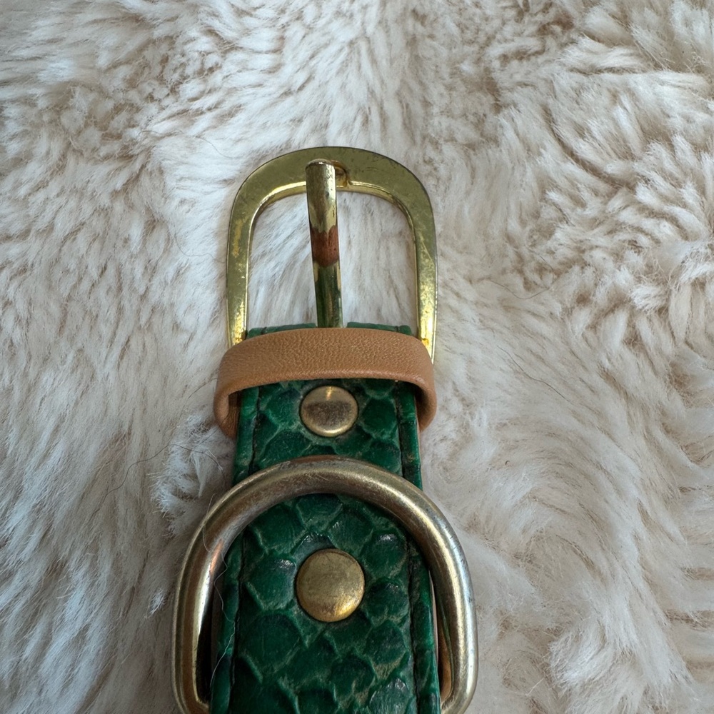 FriendshipCollar LE Snake Skin-like Emerald Green Leather Dog Collar set - Picture 6 of 8